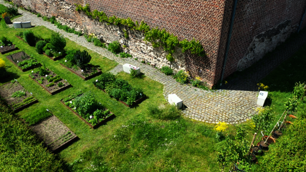 Auch ein alter Nutzgarten kann im Außenbereich bestaunt werden. Foto: Hans-Werner Berg 