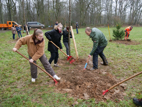 Bürgermeister Daniel Zimmermann (vorne rechts) unterstützt Schülerinnen des Otto-Hahn-Gymnasiums beim Pflanzen der Spendenbäume. Foto: Stephanie Docter