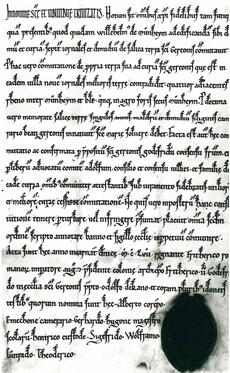 Foto einer Urkunde mit enger, altmodischer Schrift