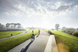 Mehrere Radfahrer auf der Rheinuferpromenade