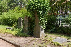 Bewachsene Grabsteine auf dem Jüdischen Friedhof