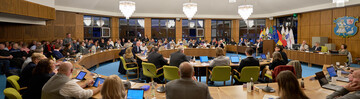 City Council