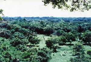Blick auf das Naturschutzgebiet El Garcero