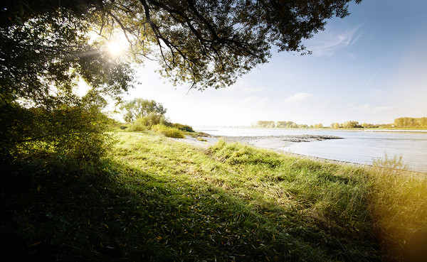 Bei gutem Wetter gehen die Teilnehmerinnen und Teilnehmer an den Rhein, um zu erfahren, wie sich Freiheit auch anfühlen kann. Foto: Thomas Lison