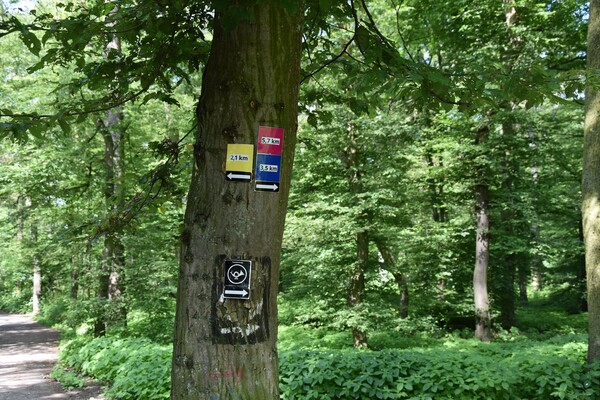 An Kreuzungen im Wald markieren Schilder die Rundwege. Foto: Birte Hauke