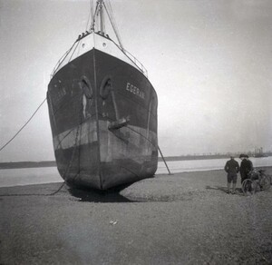 Ein großer Küstendampfer mit der Aufschrift "Egeran" liegt auf Grund. Im Hintergrund führt der Rhein nur sehr niedriges Wasser