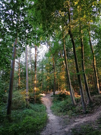 Gleich zwei Wanderungen bietet die Volkshochschule in den Herbstferien an. Foto: Nicole Philipps 