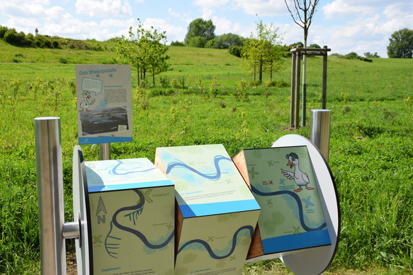 Beim Rheinpuzzle lässt sich mit drehbaren Würfeln die Verlagerung des Rheins nachvollziehen. Foto: Birte Hauke