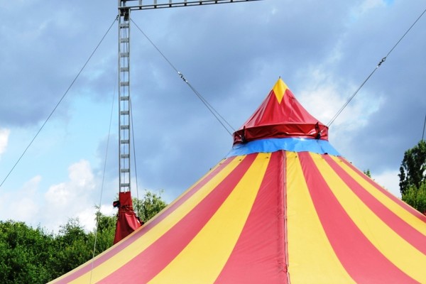 In wenigen Tagen werden beim „Circus Leben“ auf der Baumberger Bürgerwiese aus 6- bis 14-Jährigen echte Artisten. Foto: Birte Hauke