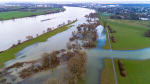 Luftbild der überschwemmten Flutmulde im Monheimer Rheinbogen