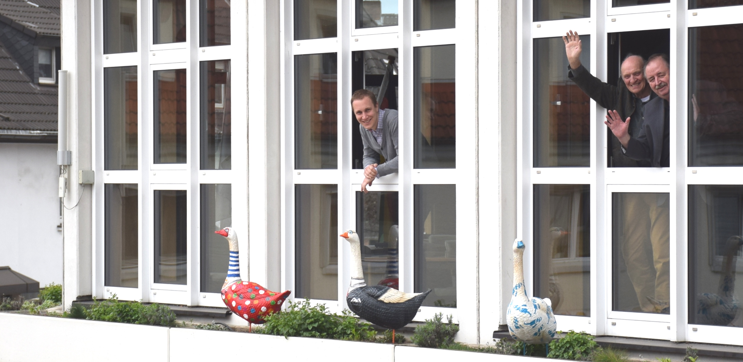 Drei Gänse der Bürgerstiftung "Minsche vür Minsche" stehen auf dem Balkon vor dem Ratssaal