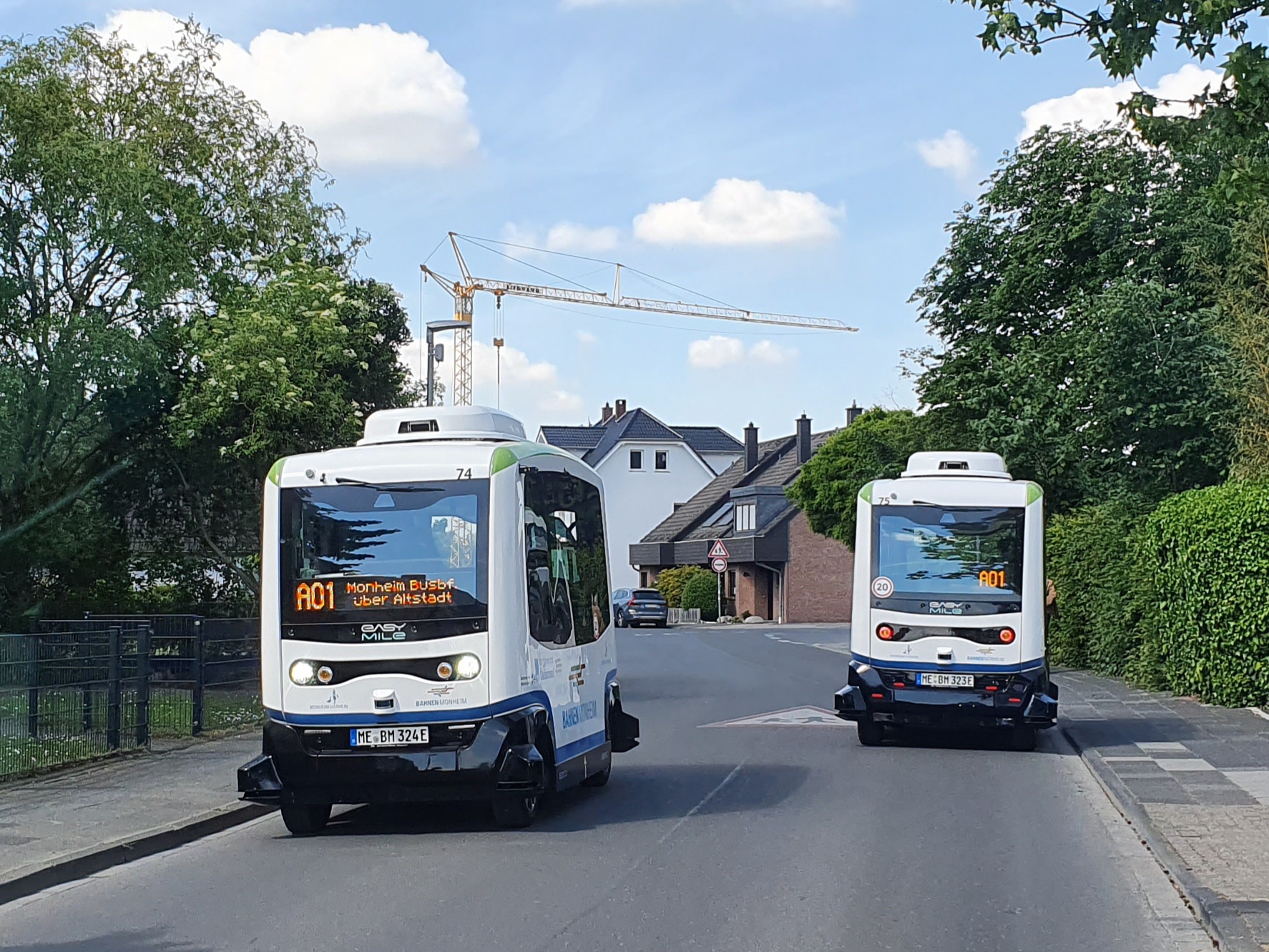 Leichte Sprache Bild: zwei autonome Busse auf einer Straße